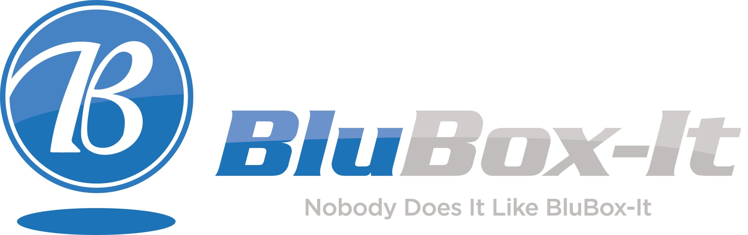 companies/image/blubox-it.jpg