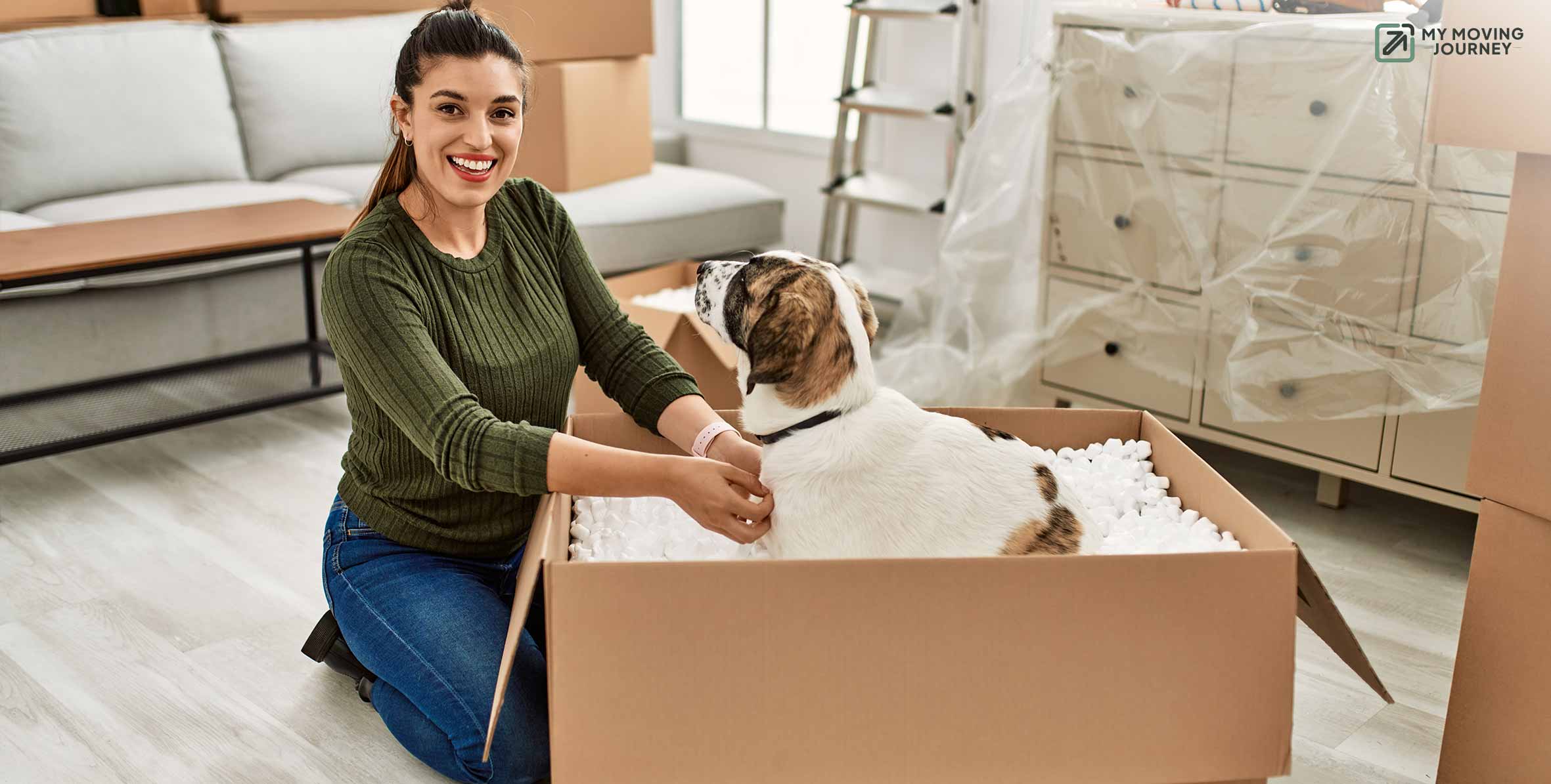 moving-with-pets-proven-strategies-for-a-smooth-transition