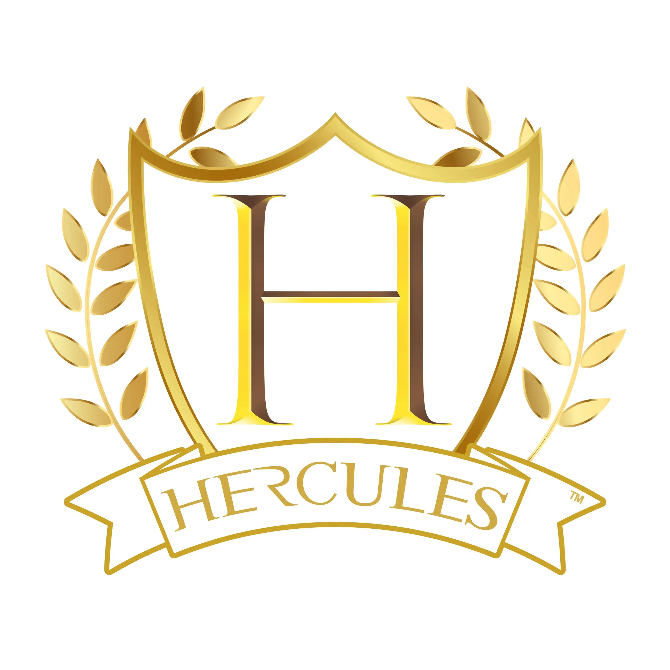 hercules-moving-solutions-inc.webp